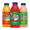 Snapple All Natural Variety Pack Juice Drink - 24pk/20 fl oz Bottles - image 2 of 4