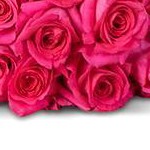 Hot Pink/Green