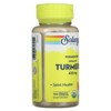 Solaray Fermented Organic Turmeric, 425 mg, 100 Organic Capsules - 4 of 4