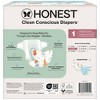 The Honest Company Clean Conscious Disposable Diapers - Ocean Bottoms & Chilly Cheeks - 2 of 4