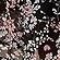 black floral