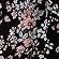 black floral