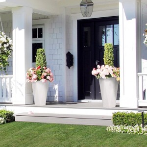 Durable, reusable seedling trays with liquid level indicators for germination and propagation in greenhouses, nurseries, or vegetable gardens. - 1 of 4