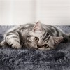 Yaheetech 76.5"H 5-Level Large Cat Tower with 3 Condos - 4 of 4