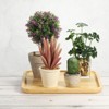 Unique Bargains Indoor Outdoor Wood Decorative Plant Saucer 1 Pc - image 4 of 4