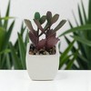 Unique Bargains Artificial Plants Ceramic Pot Plastic 2.01"x2.01"x2.95" 1 Pc - 2 of 4