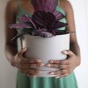 Bloem Mathers Indoor Outdoor Planter Pot with Saucer Pebble Stone 8.5"x6.62" - 2 of 4