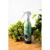 Urban Hydration Breath of Fresh Hair Kids' Detangler & Leave-in Conditioner - 8oz - 2 of 4