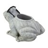 Roman 9.75" Frog Spring Outdoor Patio Garden Planter - Gray - 4 of 4