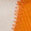 white/orangesicle