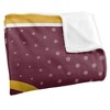 University Of Charleston Logo Dots Silky Touch Blanket White 50x60 - 3 of 4