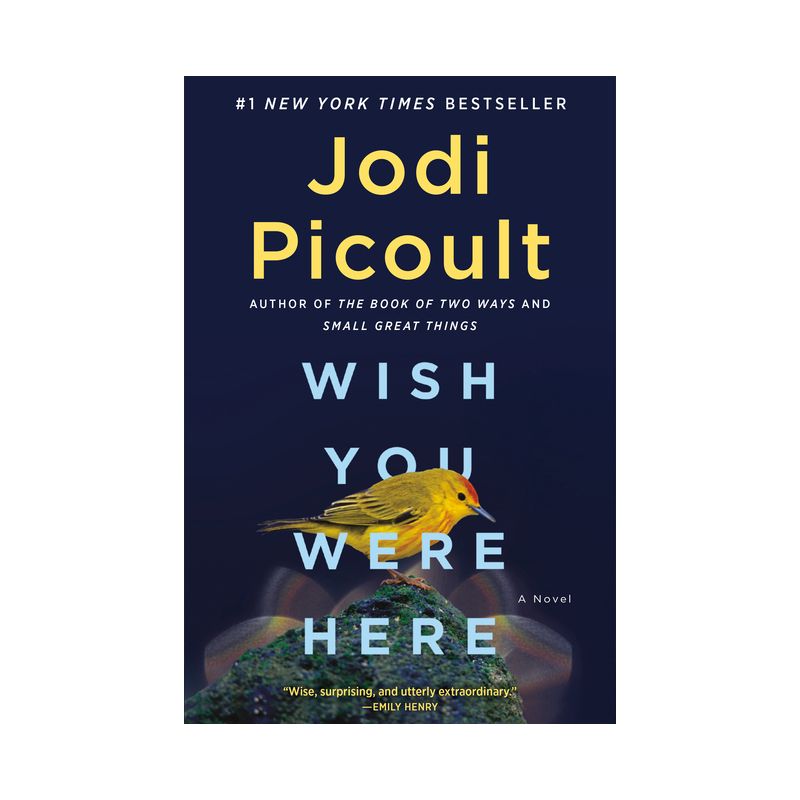 WISH YOU WERE HERE - by Jodi Picoult (Paperback), 1 of 4
