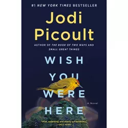 WISH YOU WERE HERE - by Jodi Picoult (Paperback)