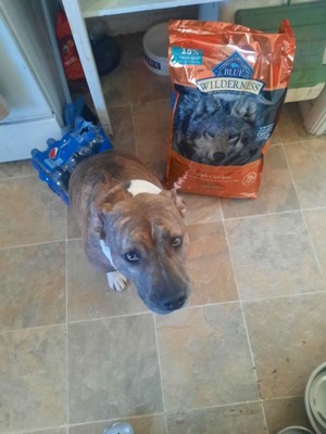 Blue wilderness for store pitbulls