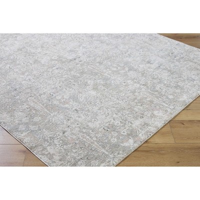 Hauteloom Carlyn Living Room, Bedroom Area Rug - Traditional