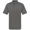 Men's Short Sleeve Henley Polo Shirt with Contrast-Trim - 2 of 4
