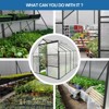 KTMBDW 6x6/8/10/12 FT Greenhouse for Outdoors, Polycarbonate Greenhouse with Roof Vent, Aluminum Large Walk-in Greenhouse for Outside Garden Backyard - 4 of 4