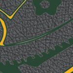 green bay packers