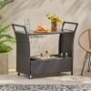 GDFStudio Lourdes Outdoor Wicker and Aluminum Serving Bar Cart - 2 of 4