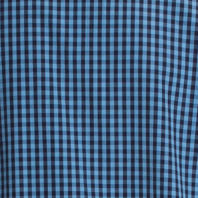 blue plaid / blue