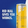 Red Bull Tropical Energy Drink - 8.4 fl oz Cans - image 4 of 4