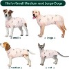 Kuoser Recovery Suit for Dogs Cats After Surgery, Dog Abdominal Wounds Bandages, Substitute E-Collar & Cone - 3 of 4
