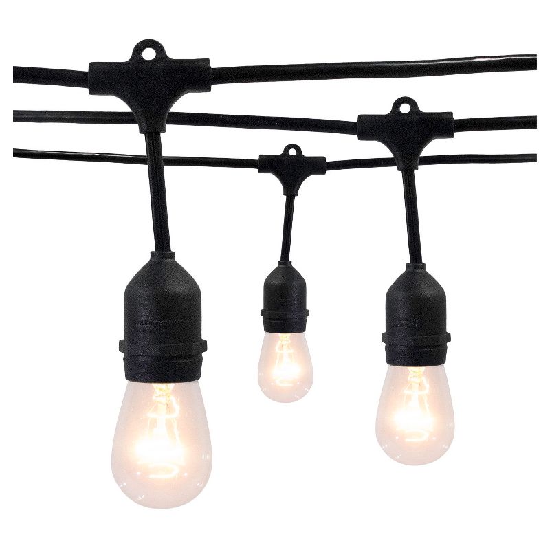 10 Light Heavy-Duty Drop String Lights with Black Wire&#8482; - Smith & Hawken&#8482;, 1 of 3
