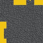 michigan wolverines