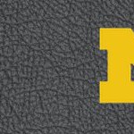 michigan wolverines