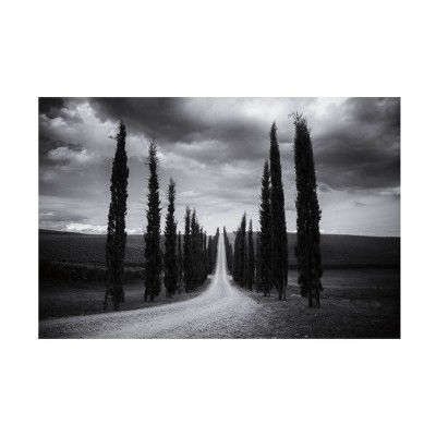 12" x 19" Aledanda 'Traveling in Tuscany' Unframed Wall Canvas - Trademark Fine Art