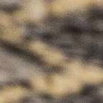 charcoal, gray, tan, beige