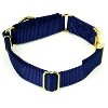 Country Brook Petz Heavyduty Nylon Martingale with Premium Buckle - 3 of 4