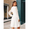 Seta T Women's Lantern Long Sleeve Round Neck Elegant Swiss Dots Work Knee Length Dress - 3 of 3