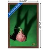 Trends International Wicked - Teaser One Sheet Framed Wall Poster Prints - 3 of 4