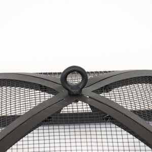 Blue Sky Outdoor Living Domed Spark Screen and Screen Lift - 1 of 4