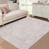 Coucheta Runner Rug , Machine Washable Non-Slip Low Pile, Faux Wool Stain Resistant Floor Carpet for Kitchen Bedroom Hallway,Multi-Color & Size - 3 of 4