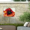 "Poppy" Outdoor Canvas - 4 of 4