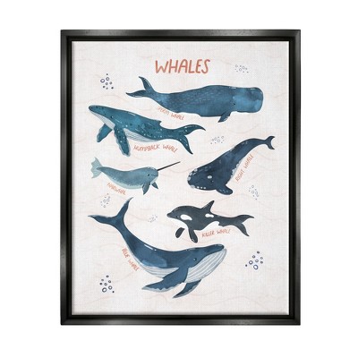 Stupell Industries Nautical Diagram Whale Narwhal Types Bubbles Illustration