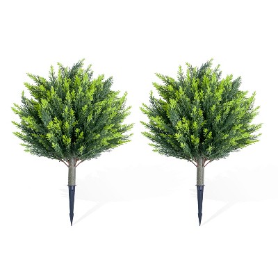 cedar-25.6 inch