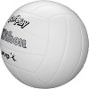 WILSON AVP Soft Play Volleyball - Official Size White - 3 of 4