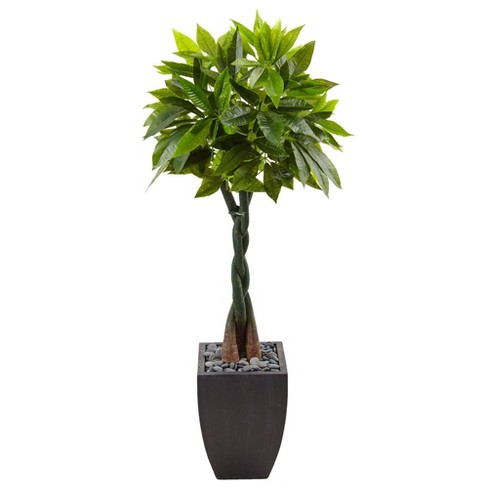 76.5x 30 Artificial Olive Tree in Ceramic Pot - Threshold™ designed with  Studio McGee