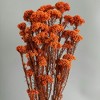 Alilang Decorative Dried Berry Stems for Home Decoration and Floral Arrangements, 17 Inches - 2 of 4