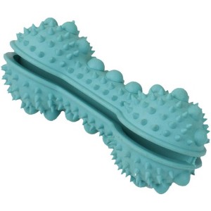 Pet Life Denta-Bone TPR Treat Dispensing and Dental Cleaning Durable Dog Toy - 1 of 1