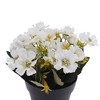 Unique Bargains Artificial Plants Autumn Cherry Blossoms Plastic 4.33"x4.33"x7.87" 1 Pcs - 4 of 4