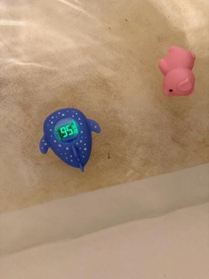 Guest review image 1 of 2, zoom in