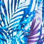 multi color leaves