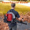66CC Backpack Blower - 4HP 2-Cycle Gas Leaf Blower, 880 CFM & 320 MPH for Powerful Wet Leaf & Debris Cleanup, Perfect for Snow Removal - 2 of 4