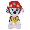 Free Free Paw Patrol Dino Rescue Svg 479 SVG PNG EPS DXF File