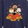 Boys' - Peanuts - Pumpkin Trio Long Sleeve Graphic T-Shirt - 2 of 4
