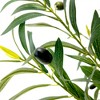 XINGHANZHENXUAN Artificial Olive Tree with White Pot & Moss, Lifelike Faux Plant with Natural-Style Branches for Home, Office - 3 of 4